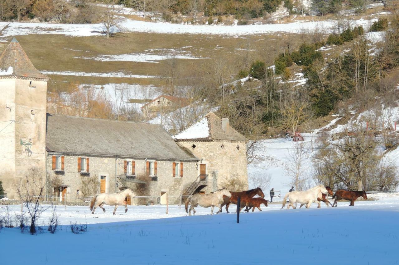 Le Colombier Bed and Breakfast Glandage Exterior foto